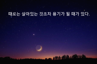 초승달이 뜬 밤풍경 나무 실루엣