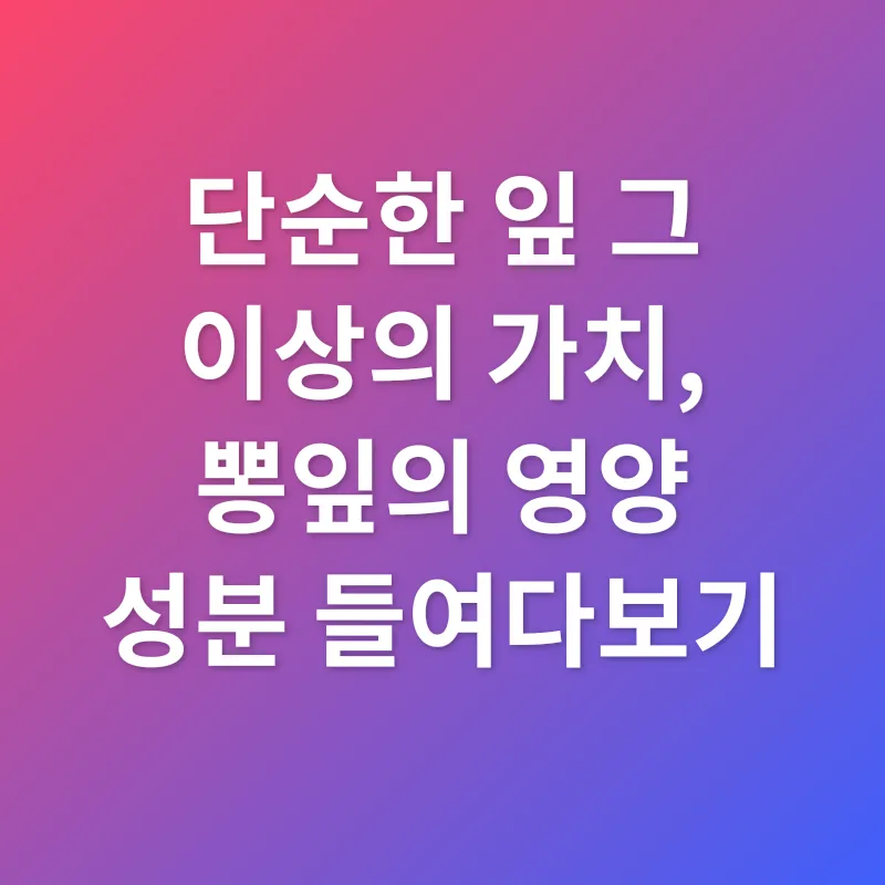 뽕잎 효능_1