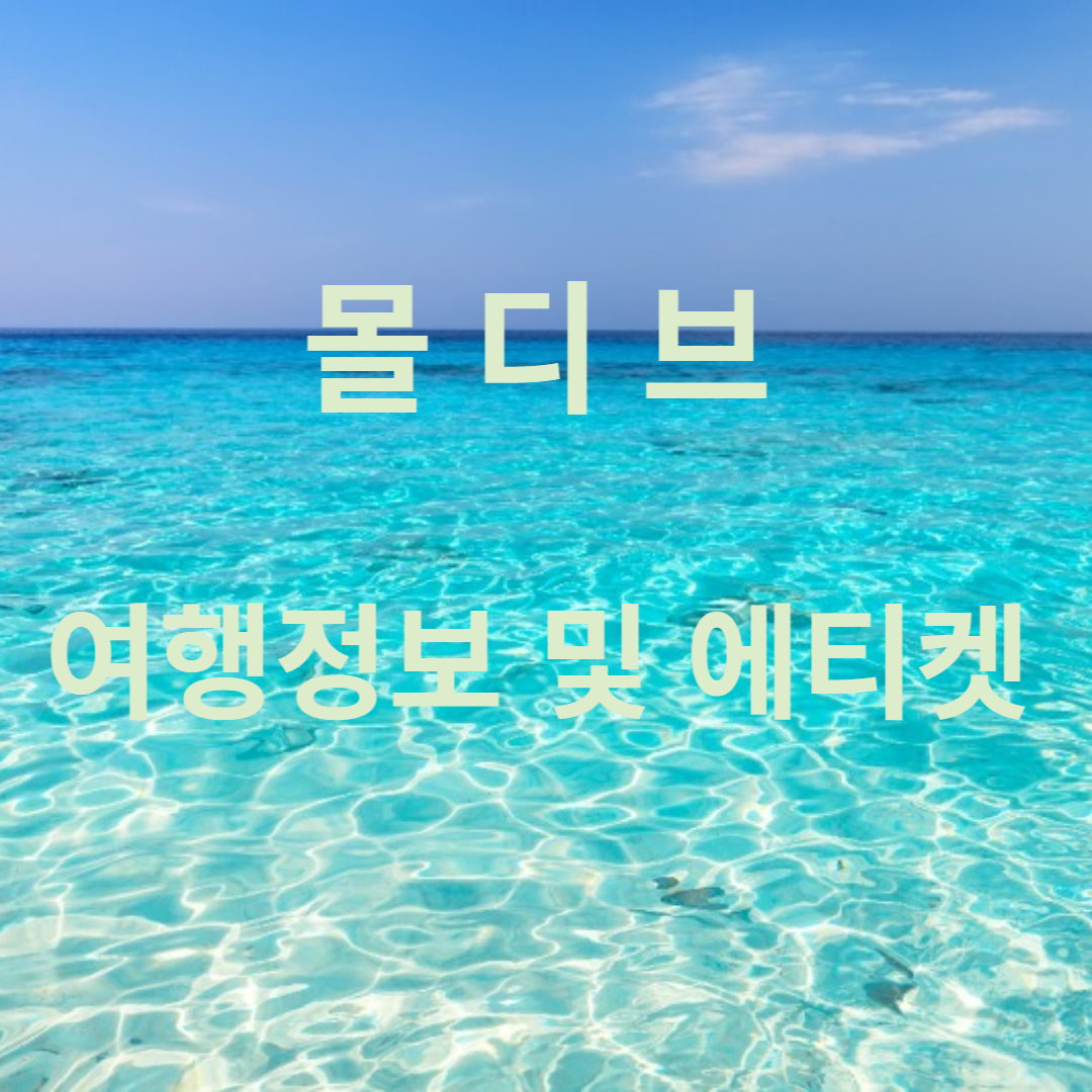 몰디브 여행정보