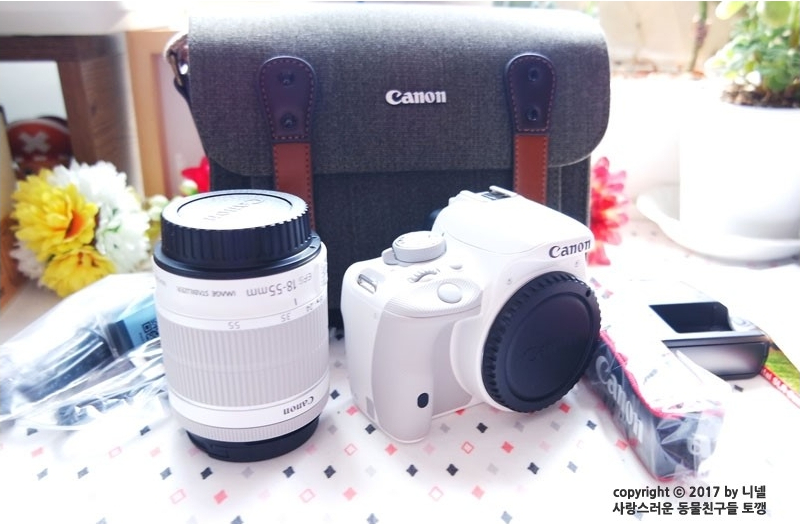  입문용 블로거 DSLR 카메라 캐논 eos 100d 화이트 18-55mm 5년 사용
