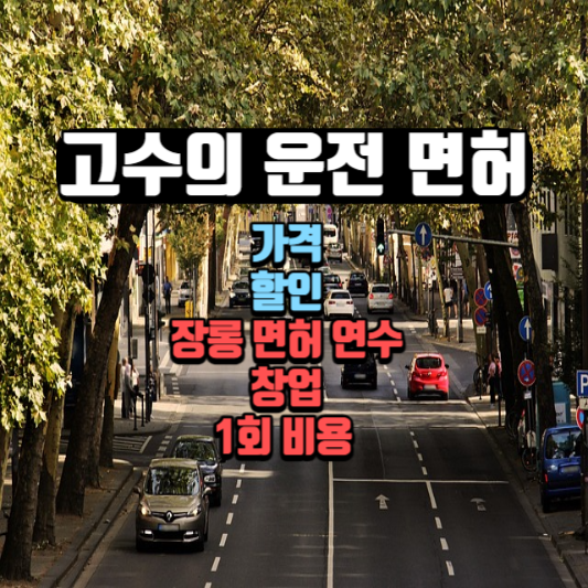  고수의 운전 면허 가격, 할인, 장롱 면허 연수, 창업, 1회 비용 정보