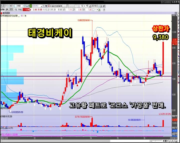 태경-비케이-일-봉-차트