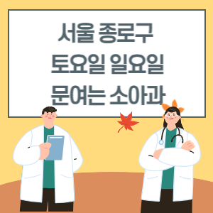 서울 종로구 토요일 일요일 소아과 진료 병원 리스트