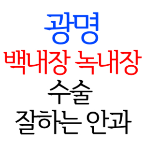 광명 백내장 녹내장 수술잘하는곳 안과 병원 추천 후기 수술 가격 비용 비교 스마일라식 라섹 드림렌즈 노안 노인 근시 시력교정 렌즈 시력검사 망막 종합검진