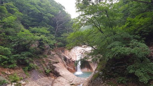 행복25 이미지