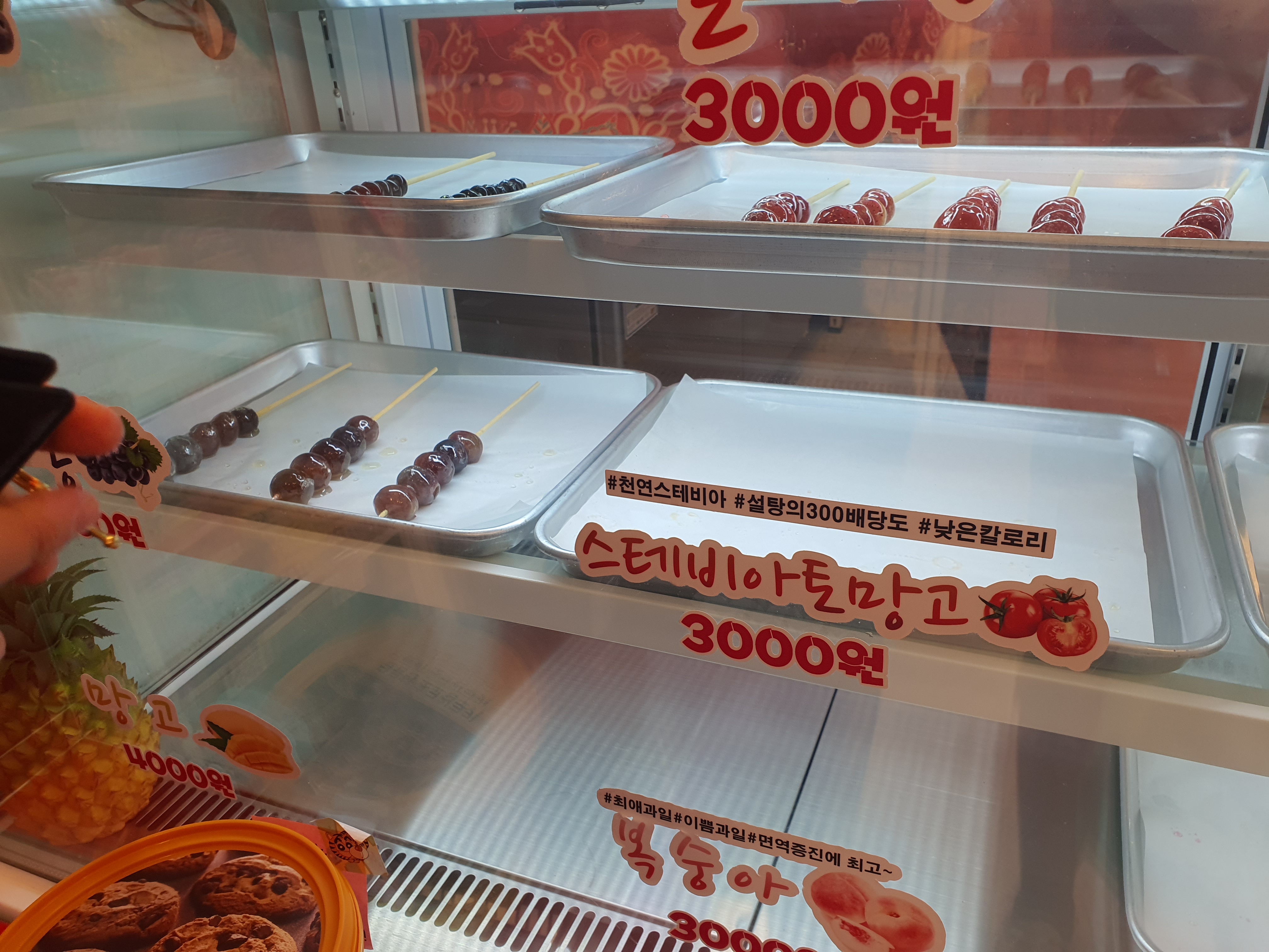 소담 이미지