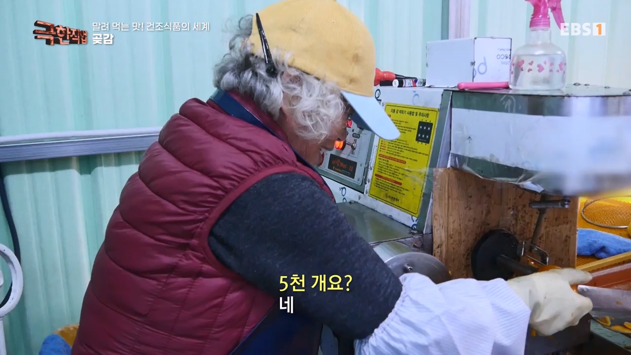 TV - 전 국민의 평생학교 EBS말려 먹는 맛! 건조식품의 세계.mp4_20231125_190724.115.jpg