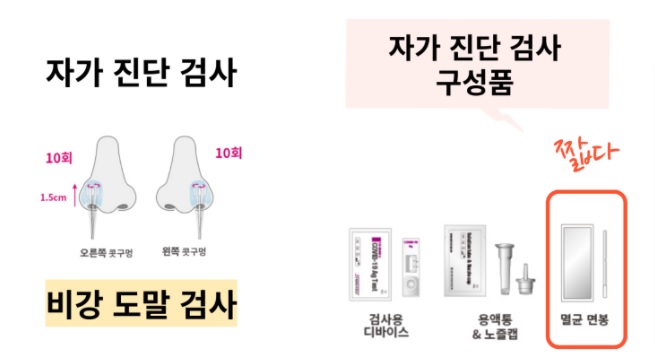 개인용 신속항원검사 모습