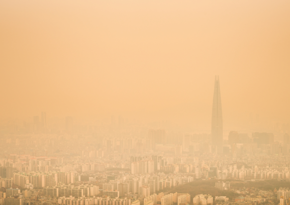 미세먼지 관련