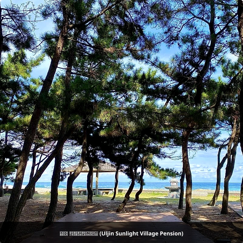 울진 해빛뜰마을펜션 (Uljin Sunlight Village Pension)_4