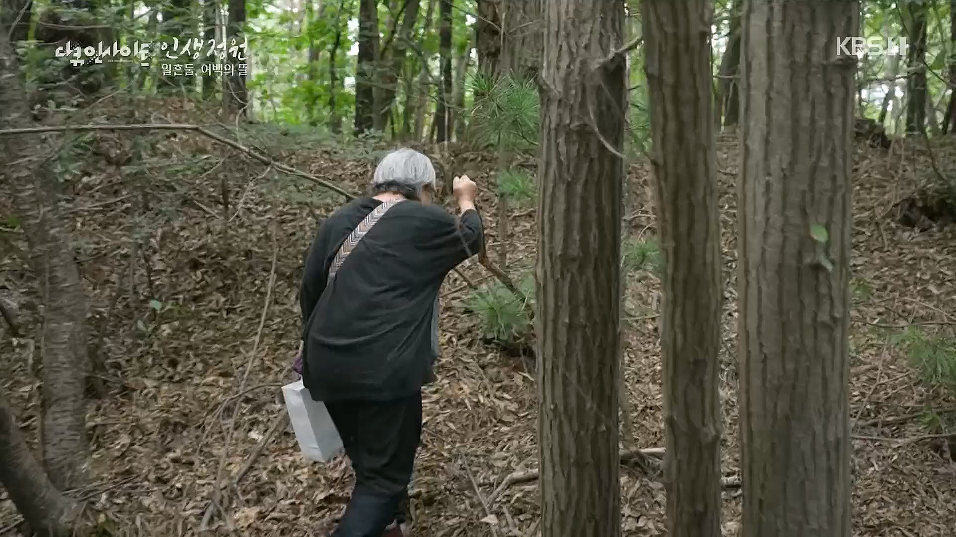 다큐 인사이트.E135.221229p.H264-F1RST.mp4_20230109_204219.085.jpg