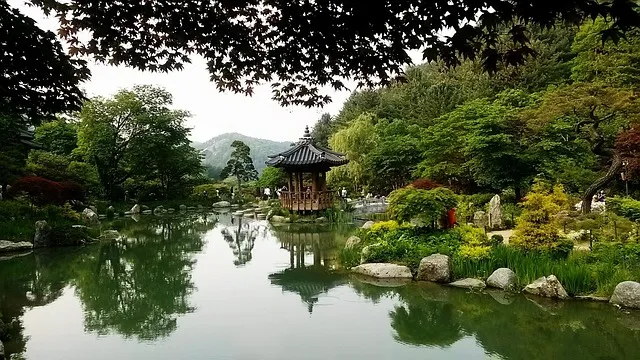 경상남도 수목원 5월의 꽃 관음죽꽃 핑퐁나무 황금자주달개비 마가렛 만첩빈도리 자란 크레이프자스민_6