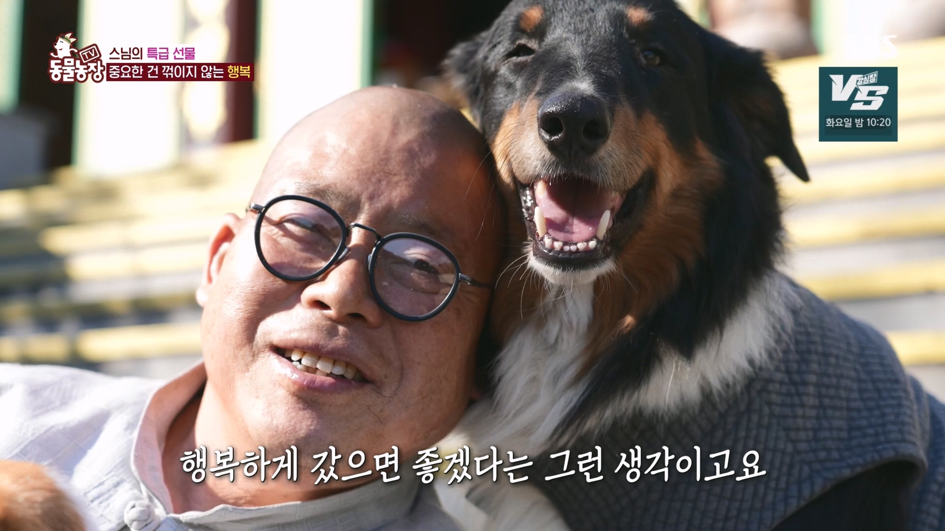 TV 동물농장.E1149.231210p.H264-F1RST.mp4_20231210_171058.408.jpg