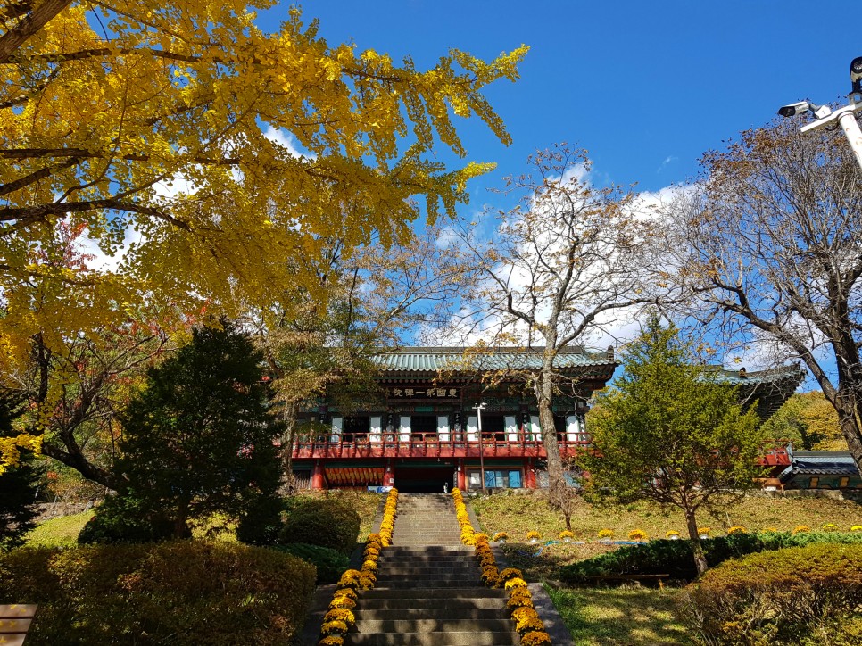 장소! 칠불사의 가을 풍경을 감상하세요:) 하동칠불사의 가을 멋진 자태를 품은 7
