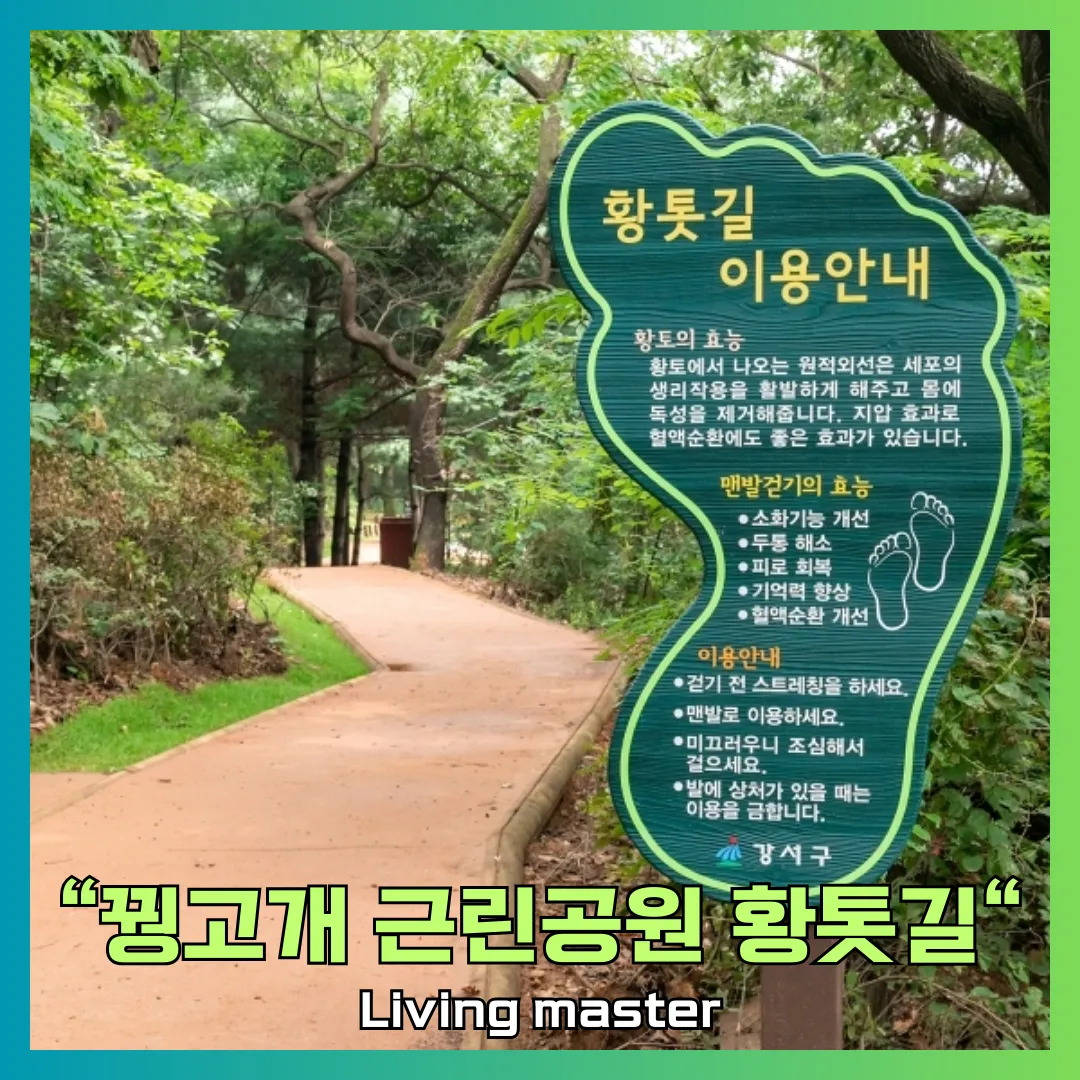 서울 꿩고개 근린공원 황톳길
