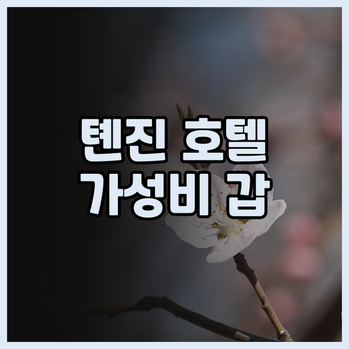 톈진 호텔 추천, 후기 꼼꼼 분석! 