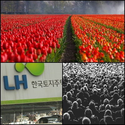  [네덜란드 튤립파동] 일확천금을 위해 투기하는 인간들