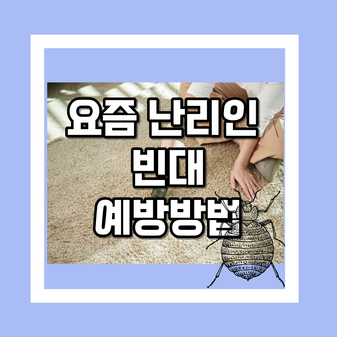 요즘 난리인 빈대 예방하는 방법