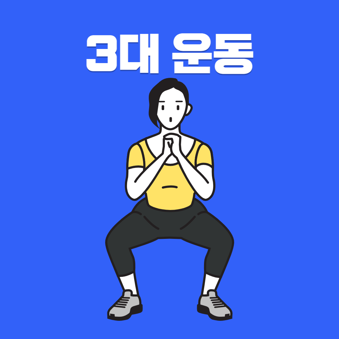  운동의 기초 3대운동