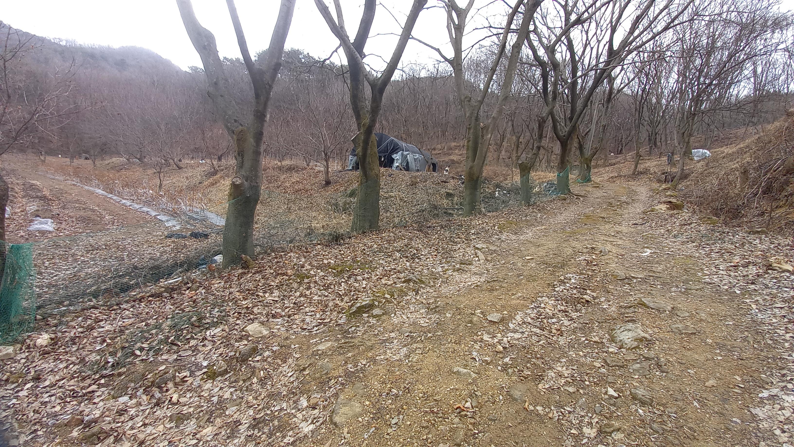 영상일기/20230216/나대자연 21