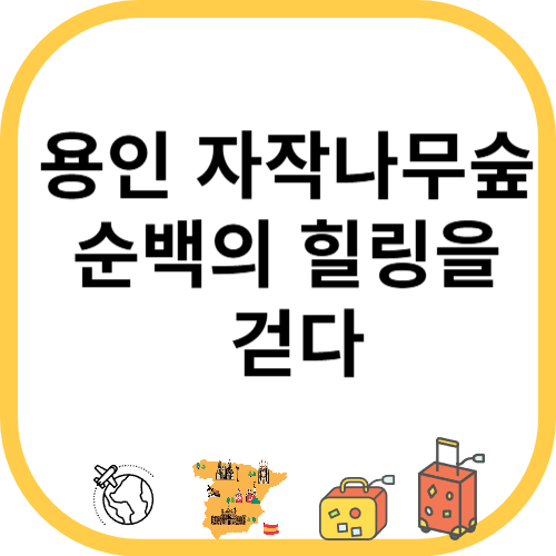 용인 가볼만한곳 용인 자작나무숲, 순백의 힐링을 걷다