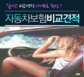  지금바로 보험료확인할수있는 자동차보험료비교견적사이트