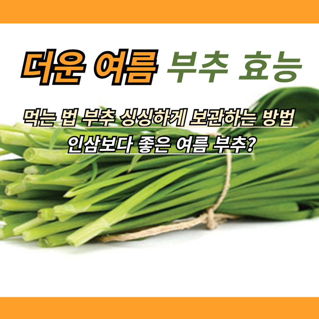 여름 부추 사진