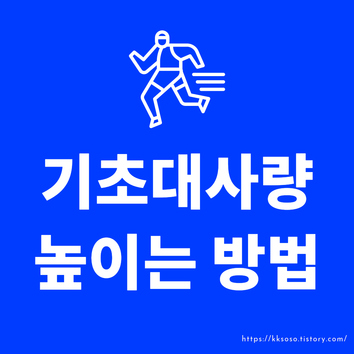 기초대사량 높이는 방법: 나이와 살 찌는 이유에 대한 오해와 해결책