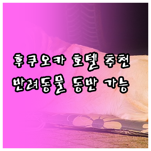후쿠오카 호텔 예약 전 필독 가성비 