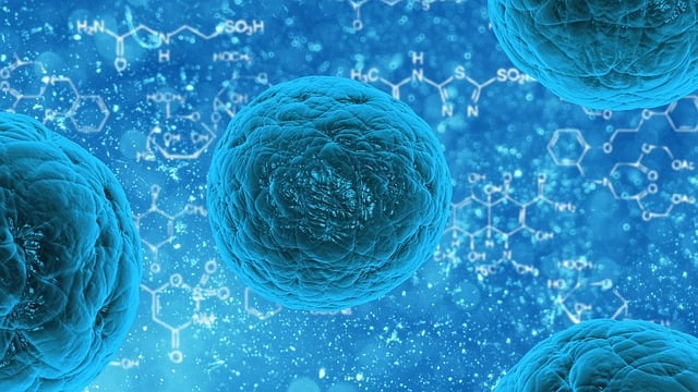 Science Article 8. The Fascinating World of iPS Cells