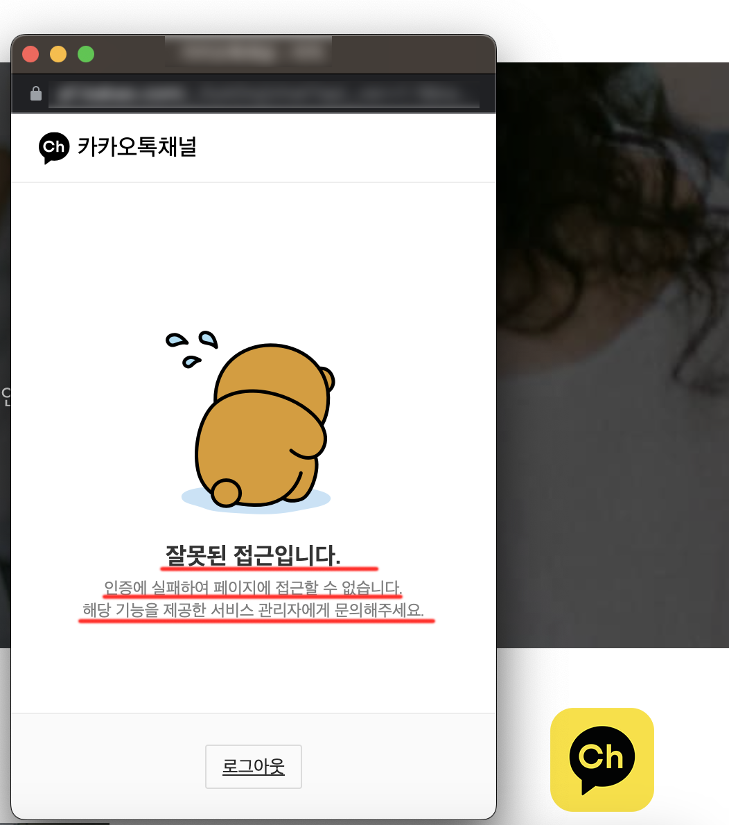 홈페이지에 카카오 채널 채팅 버튼 추가하는 방법 feat.잘못된 접근입니다. 해결방법