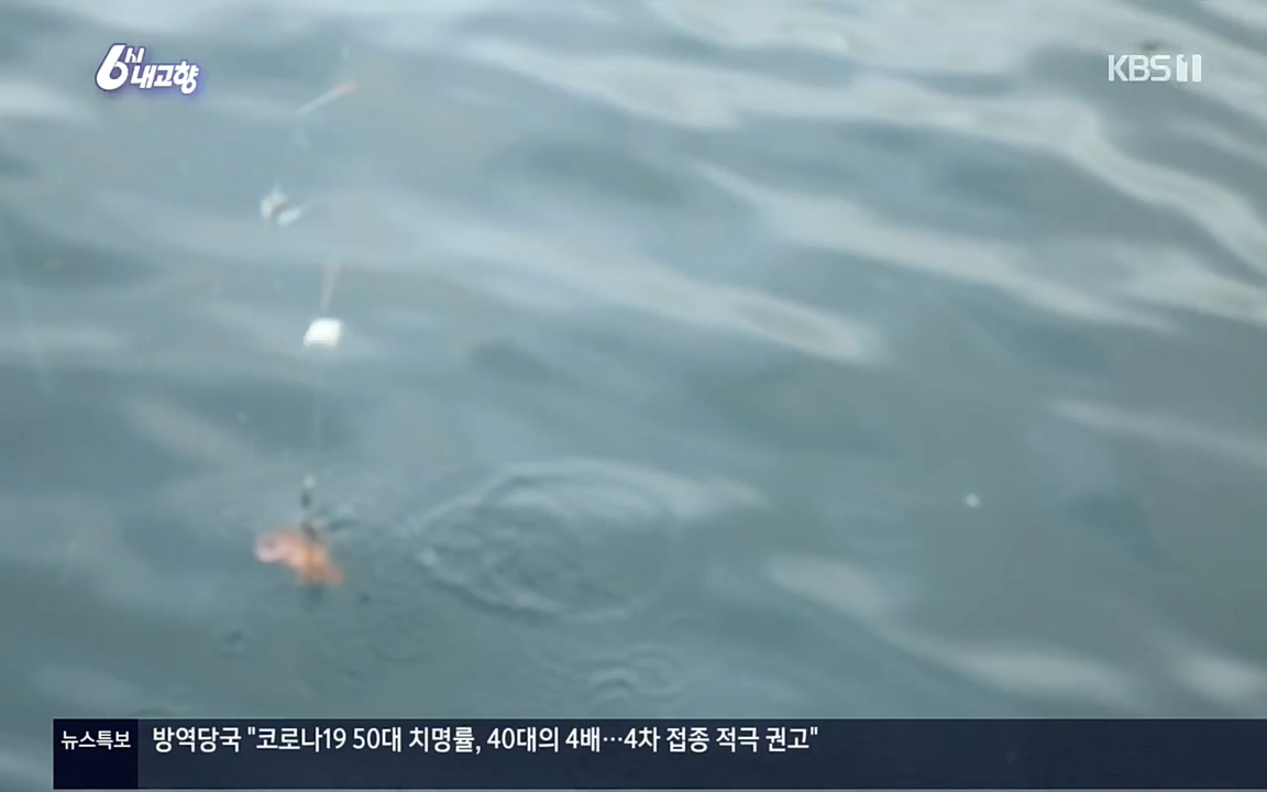 6시 내고향.E7596.220813p.H264-F1RST.mp4_20220814_180601.008.jpg