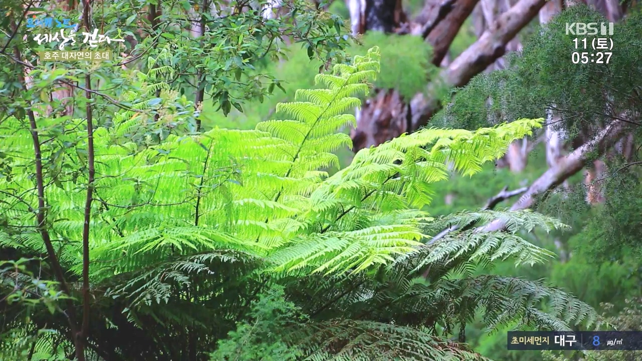 트레킹노트 세상을 걷다.E296.231112p-NEXT.mp4_20231111_182051.478.jpg