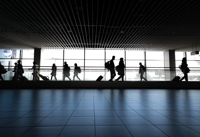 뉴질랜드 입국 시 세관 신고