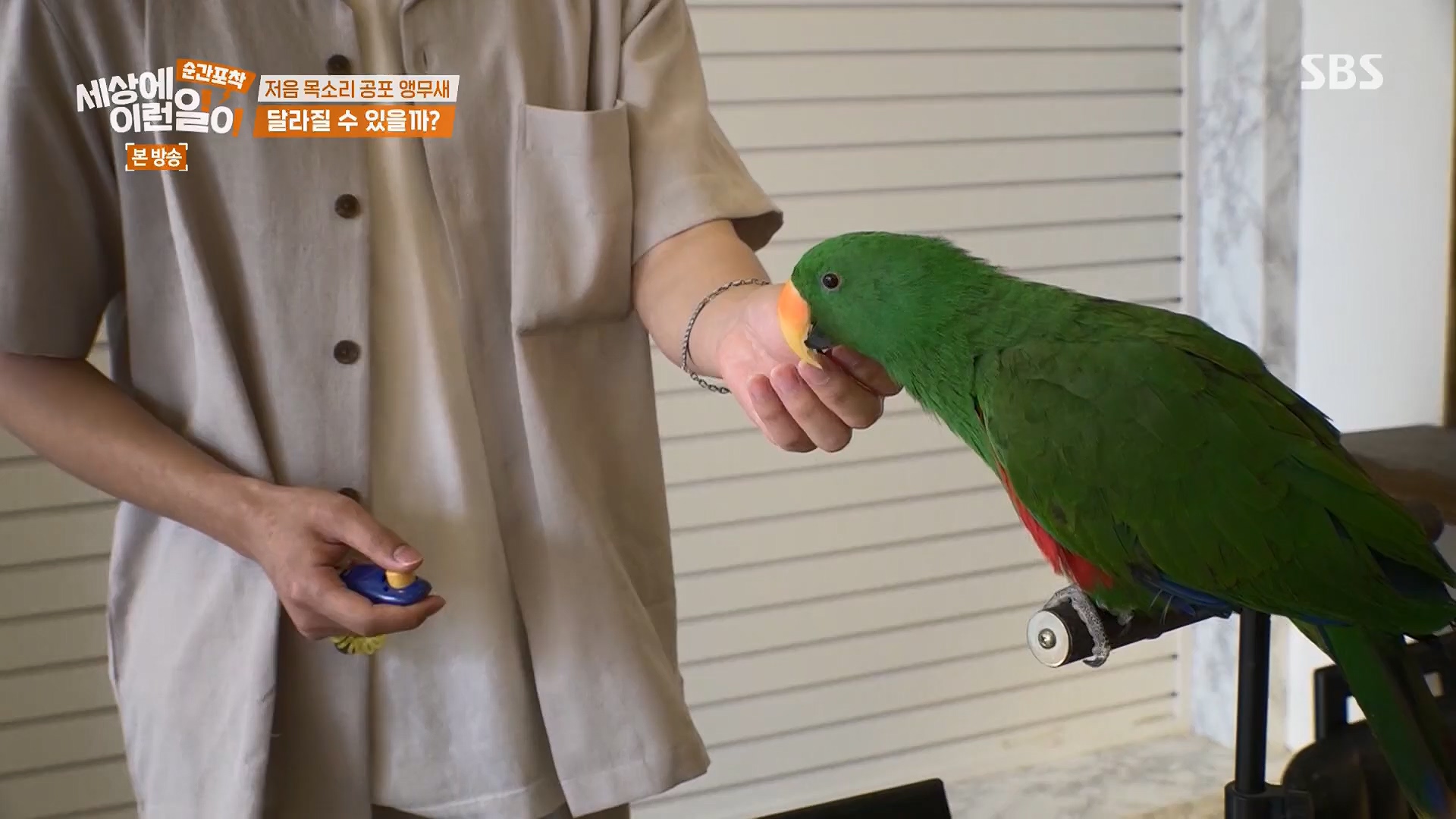 순간포착 세상에 이런일이.E1246.230916p.H264-F1RST.mp4_20230917_171125.192.jpg