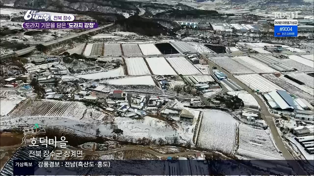 6시 내고향.E7687.221223p.H264-F1RST.mp4_20221229_204145.847.jpg