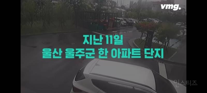  울산 초등학생 개물림 사고