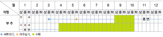 부추 재배일정