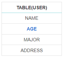 AGE 컬럼 추가 후 테이블