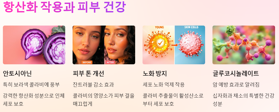 항산화 작용과 피부 건강