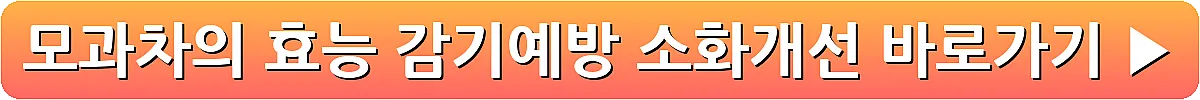 모과차의 효능 감기예방 소화개선_19