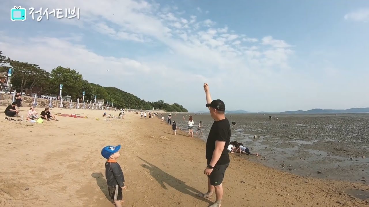  Sea of Dongmak mudflats in Ganghwa Island, Incheon, Korea