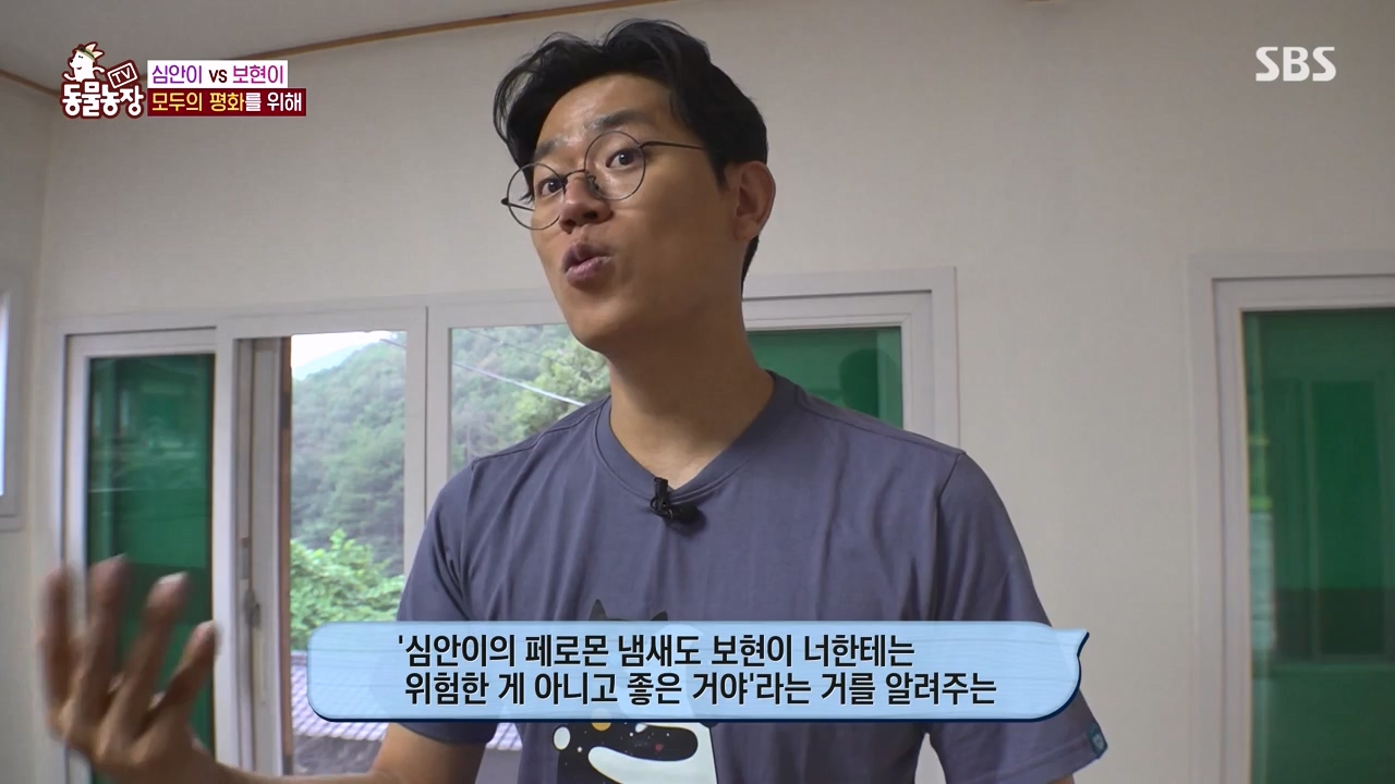 TV 동물농장.E1143.231030p-NEXT.mp4_20231029_161827.872.jpg