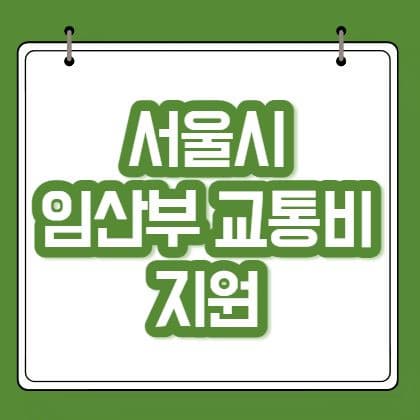 서울시 임산부 교통비 지원