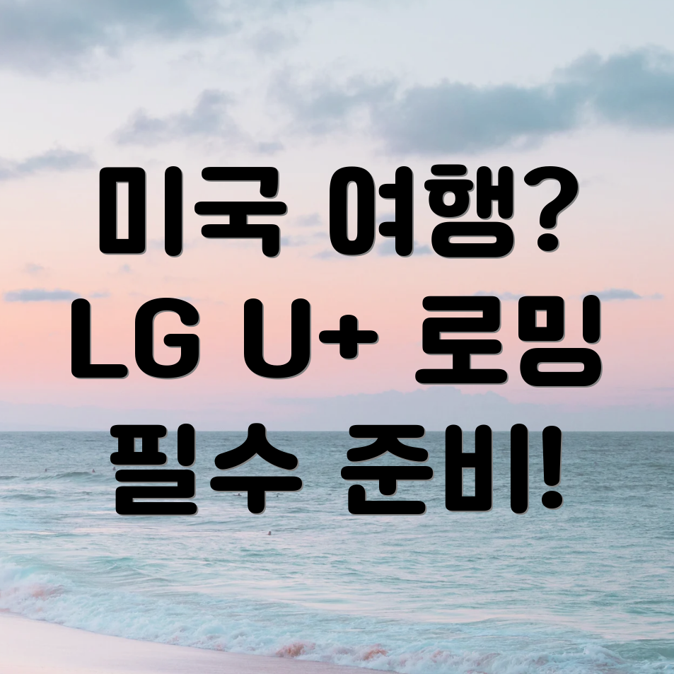 LG U+ 미국 로밍