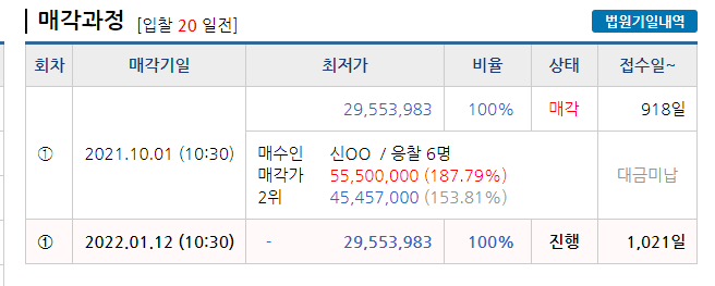 경매시 대지, 입찰외란? 6