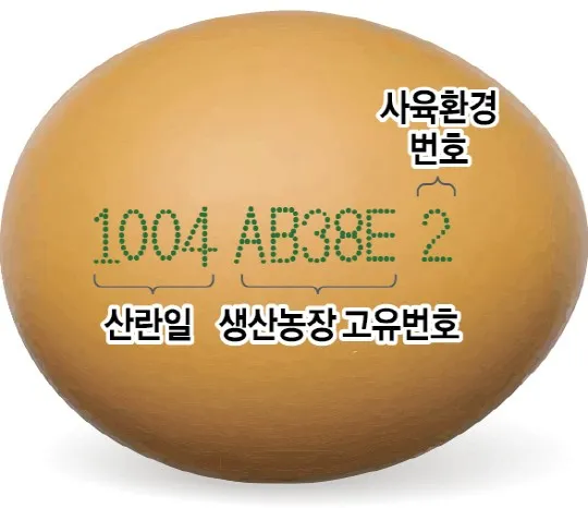 계란에 적힌 번호가 정확히 뭘까 계란 난각번호 4번 제대로 알고 먹고 있나요_3