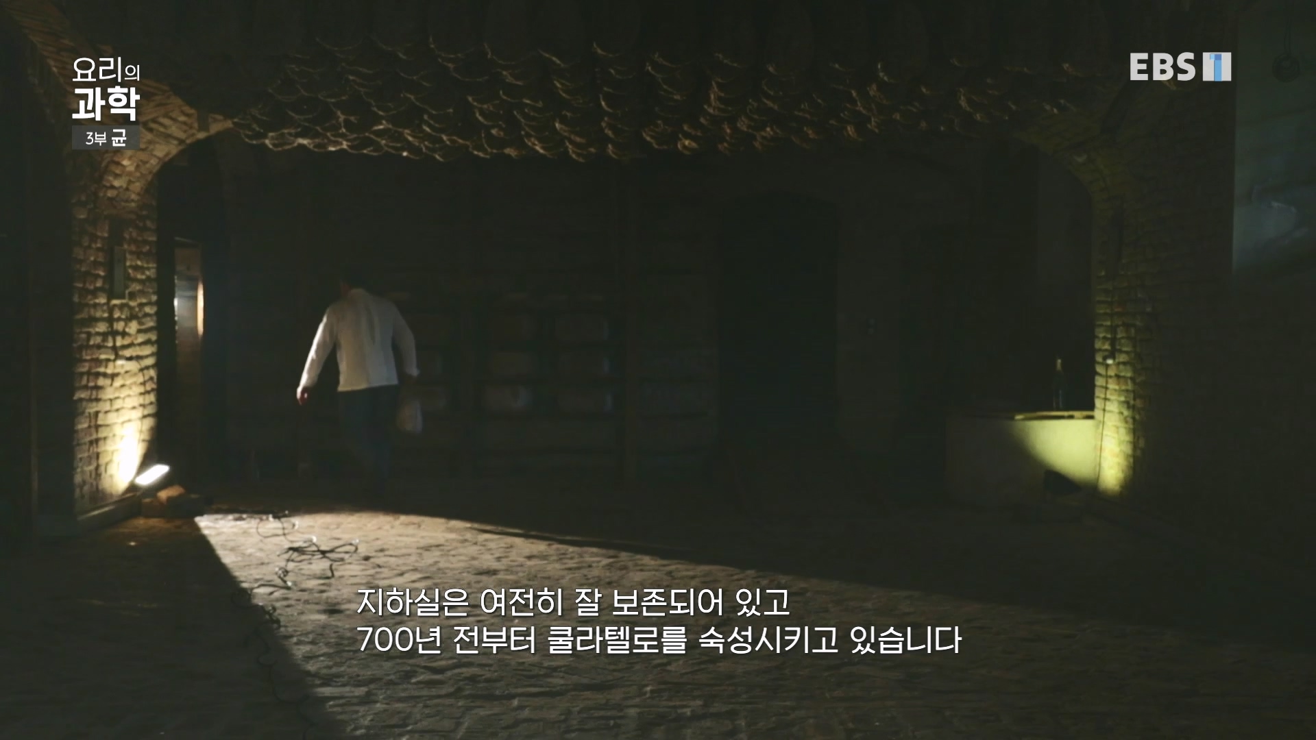 EBS 다큐프라임.201207.요리의 과학 - 3부 균0p.mp4_20240411_202636.429.jpg