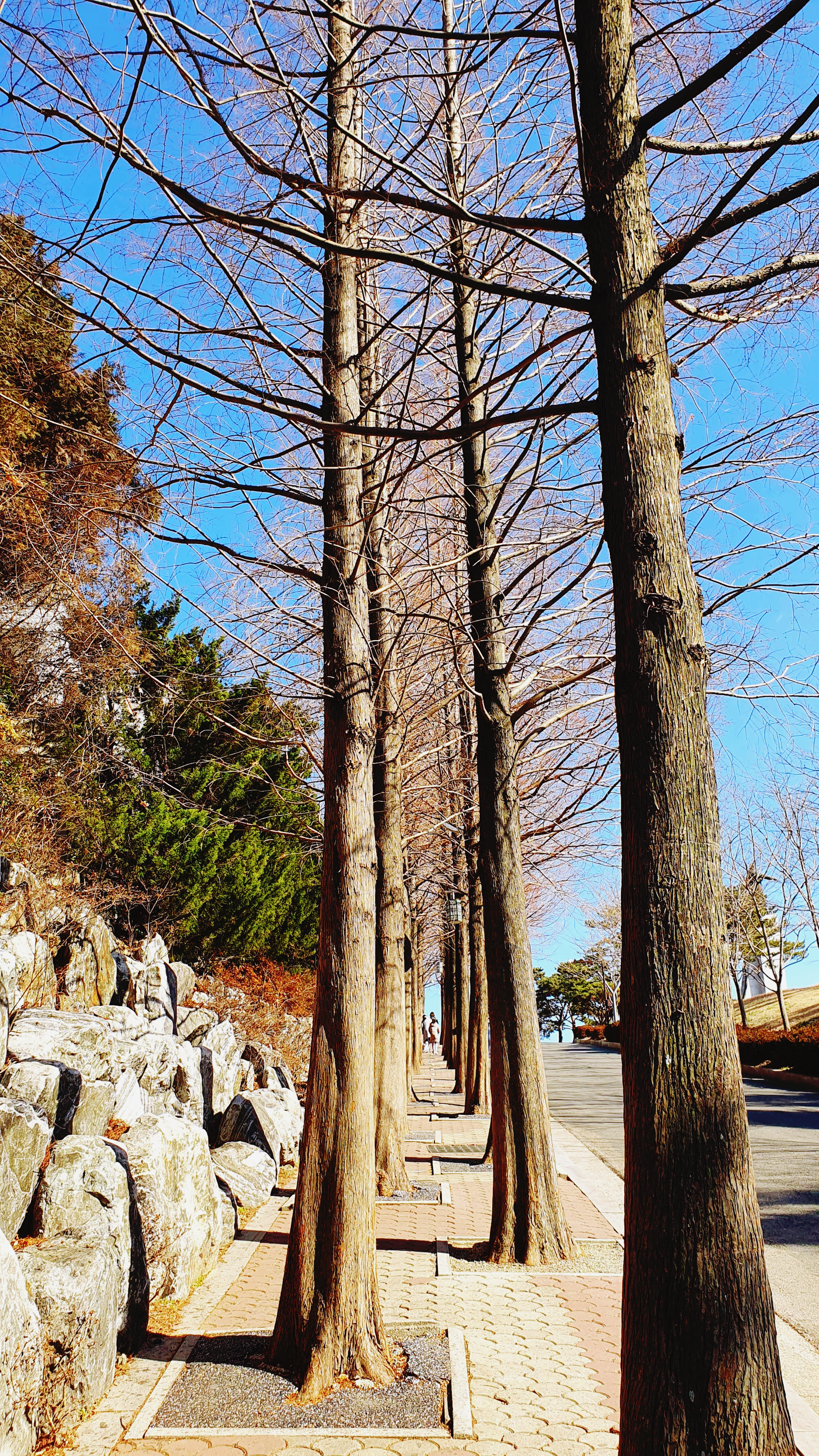 통영 가볼만한 곳 베스트 3. 이순신공원