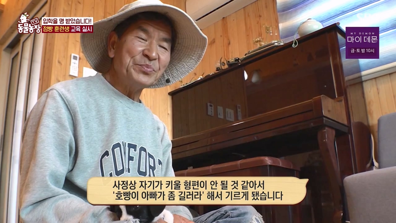 TV 동물농장.E1147.231127p-NEXT.mp4_20231126_170348.606.jpg